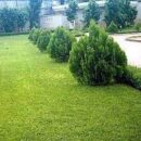 Landscaping Services